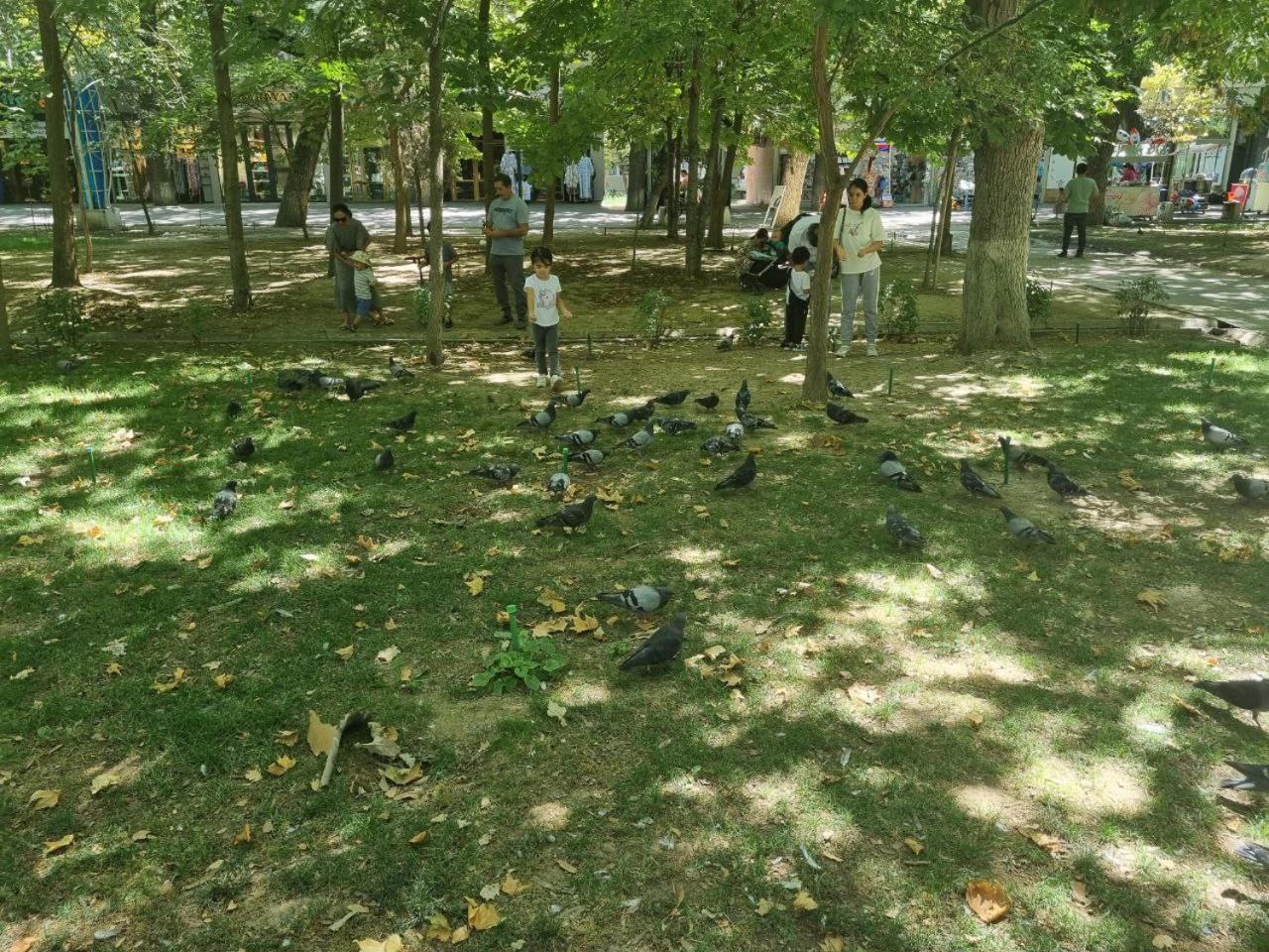 City Center Apartment 1 Tashkent Luaran gambar